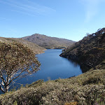 The Snowy River arm of Guthega Dam (88627)