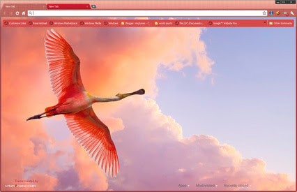 Beautiful Bird chrome extension