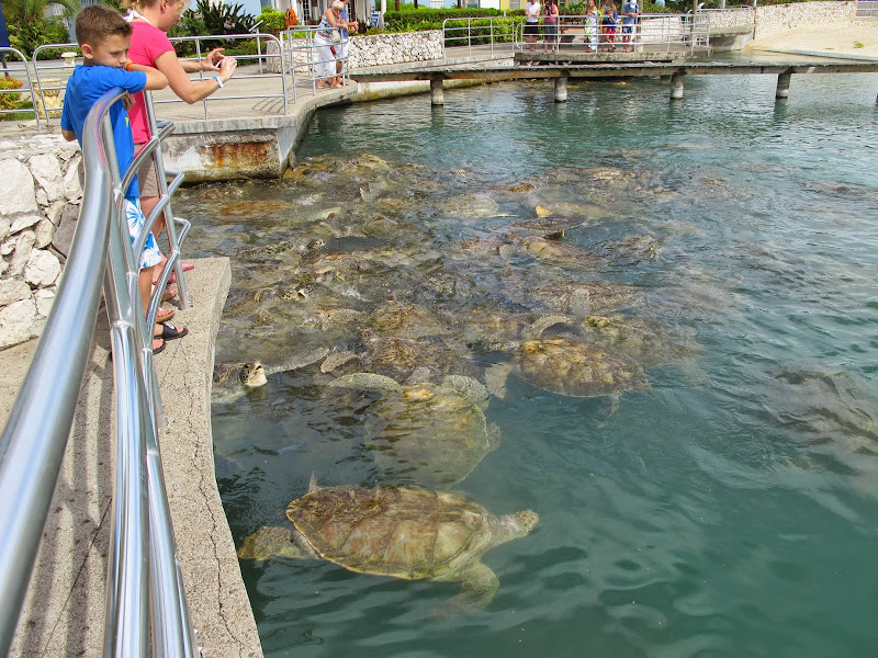 Grand Cayman - Большой Кайман