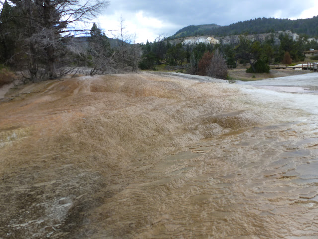 Mammoth Hot Springs. Valle de Lamar. Calcite Springs. Tower Falls. 12 Julio - LAS ROCOSAS DE CANADA. YELLOWSTONE Y GRAND TETON. (12)