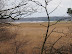 View of the Marshes by Deadmans Covert