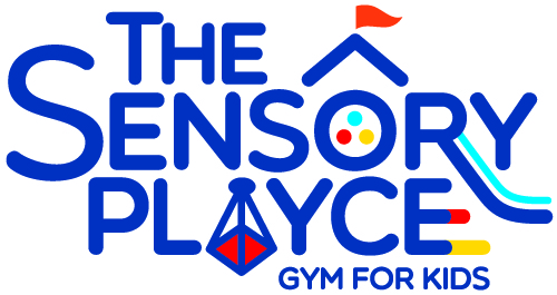 The Sensory Playce Gym for Kids - Indoor Play logo