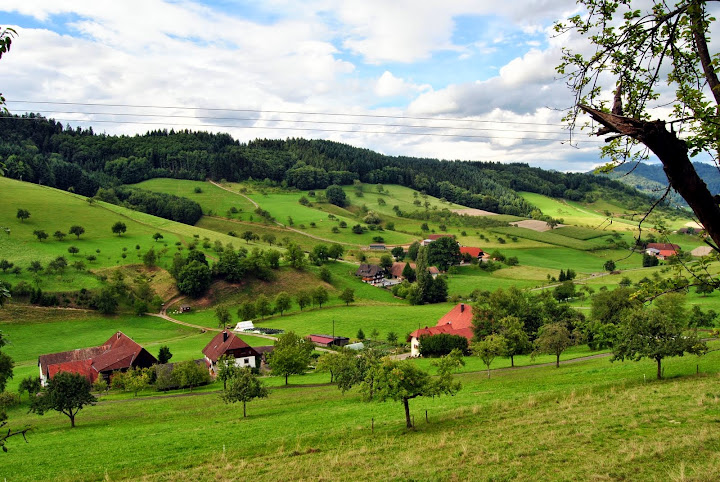 Selva Negra: Baden-Baden y Schwarzwald Hochstrasse. - Alsacia, Selva Negra y Suiza. (11)