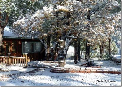 Rex and Mary's First Snow (6)