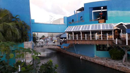 Interactive Aquarium Cancun, Blvd. Kukulcan Km. 12.5, Zona Hotelera, 77500 Cancún, Q.R., México, Atracción turística | TLAX