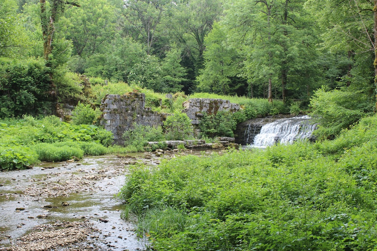 Les cascades du herrisson IMG_3239