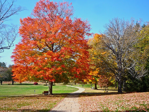 Park «Francis William Bird Park», reviews and photos, 251 Washington St, East Walpole, MA 02032, USA