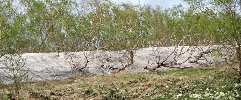 Чанбайшань