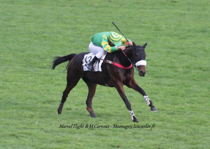 Photos Auteuil 7-11-2015 (48h de l'obstacle) IMG_6457