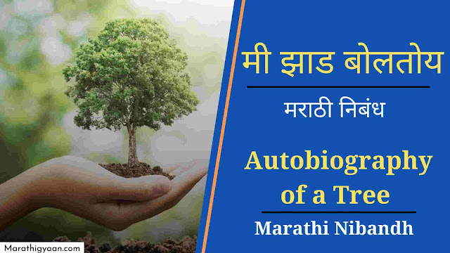 autobiography meaning in marathi