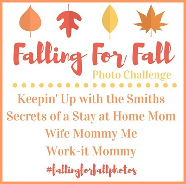 Falling For Fall Photo Challenge