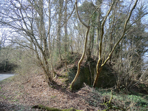 CIMG2060 Old railway bridge at Copyhold Lane