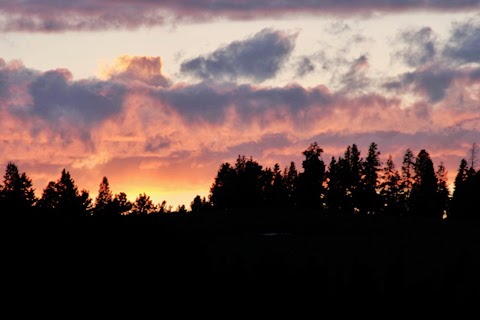 NUESTRO VIAJE AL PLEISTOCENO: YELLOWSTONE Y GRAND TETON - Blogs de USA - YELLOWSTONE NATIONAL PARK (10)