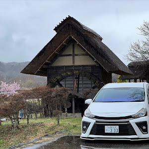 プリウスα ZVW41W