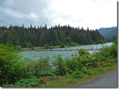 Chilkoot River  