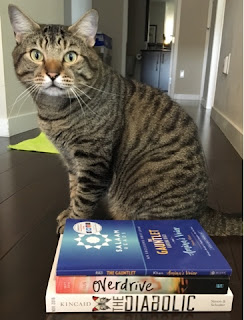 Pickles with some exciting Fall 2016 releases! Pickles with some exciting Fall 2016 releases!