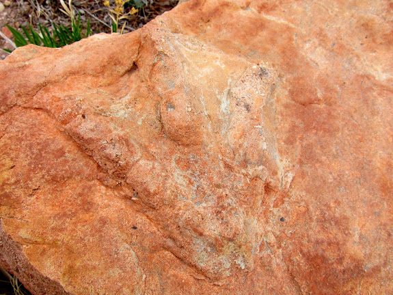 Dinosaur footprint near the Moore Cutoff Road