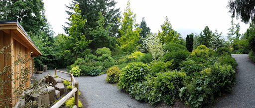 Park «Wilburton Hill Park», reviews and photos, 12400 Main St, Bellevue, WA 98005, USA