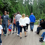 busy day at the Capilano Suspension Bridge in North Vancouver, Canada 