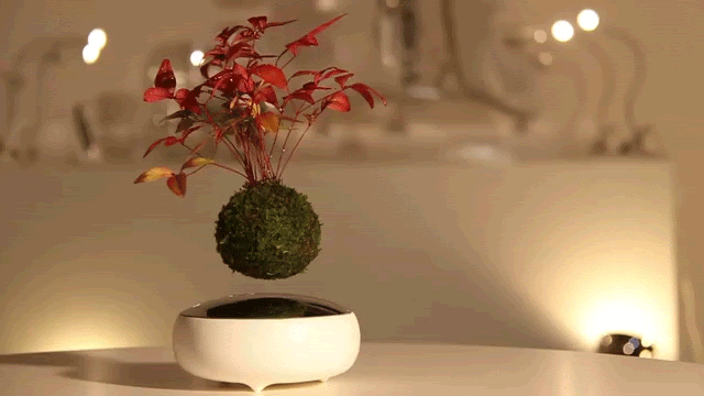 Số kiếp của một đồng tiền