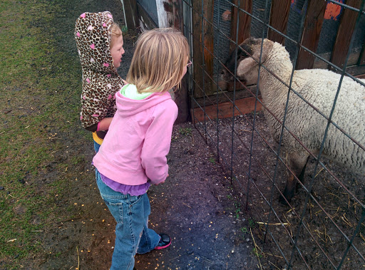 Tourist Attraction «Bloomsbury Farm», reviews and photos, 3260 69th St, Atkins, IA 52206, USA