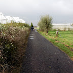 Hooglede 2-10-'16 Hooglede 2-10-'16