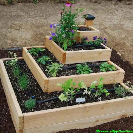 DIY Garden Design Ideas