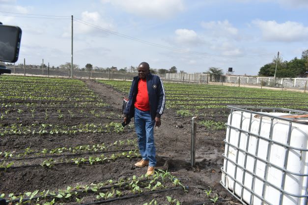 Agronomist Wilson Ager is managing the farm belonging to Kaputiei North MCA, Joshua Olowuasa. Ager talked to the Star on Tuesday evening.