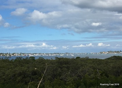 Overlooking the bay