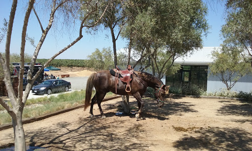 Winery «Matchbook Wine Company», reviews and photos, 12300 County Rd 92B, Zamora, CA 95698, USA