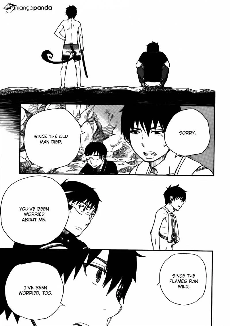 Blue Exorcist Page 29