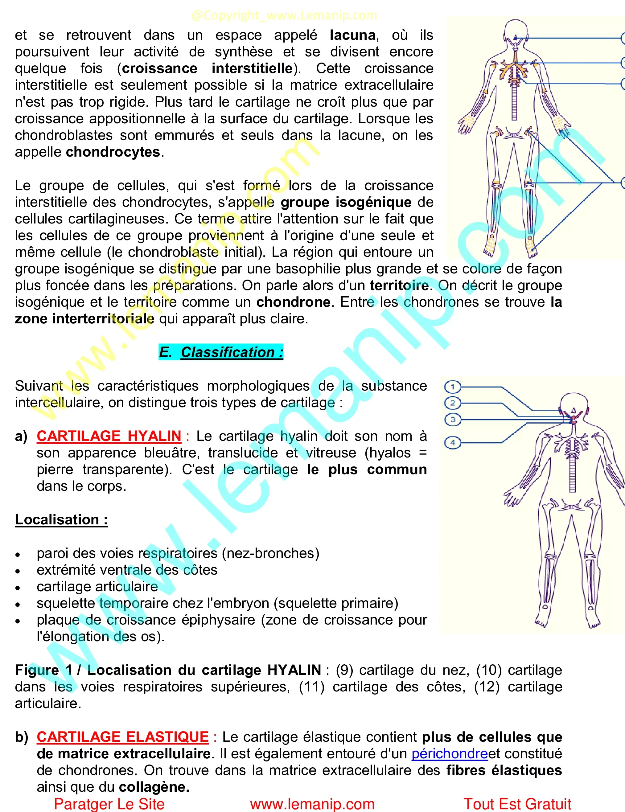 Classification os