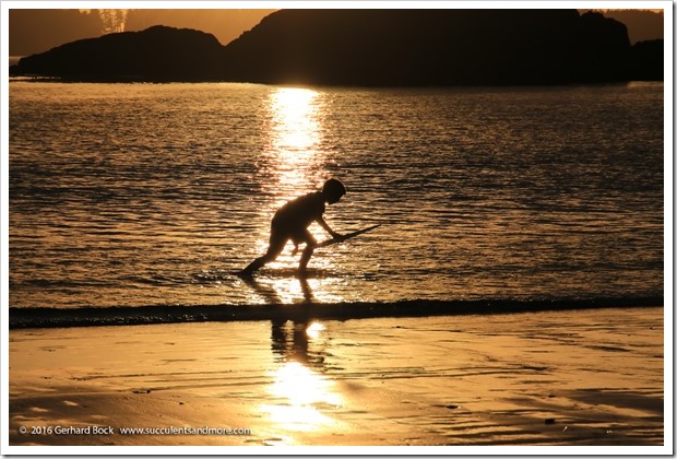 160902_Tofino_MacKenzieBeach_0037