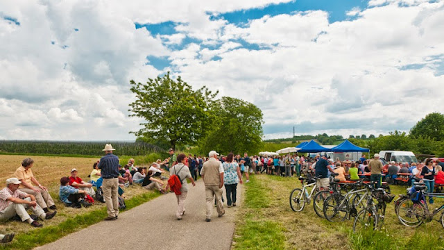 Gutedelwanderung