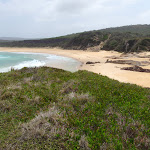 North Tura Beach from Bournda Island (107116)