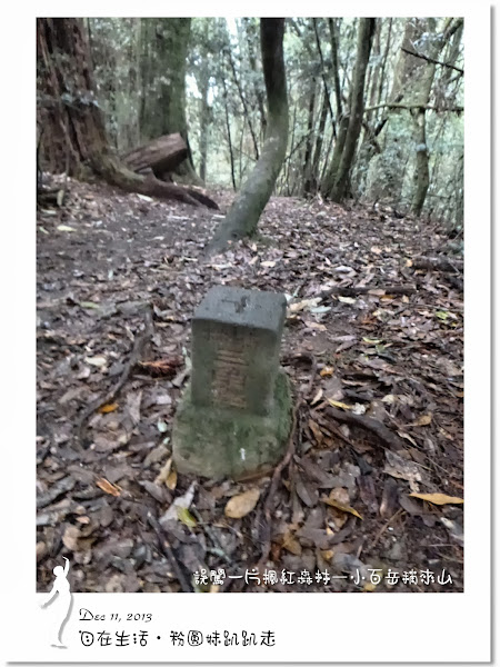 原來這顆是稍來山南峰的森林三角點