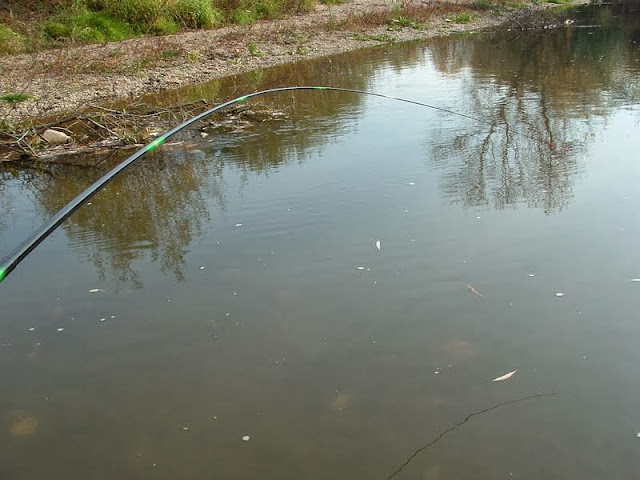 tenkara