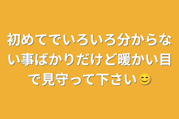 初めてでいろいろ分からない事ばかりだけど暖かい目で見守って下さい😊