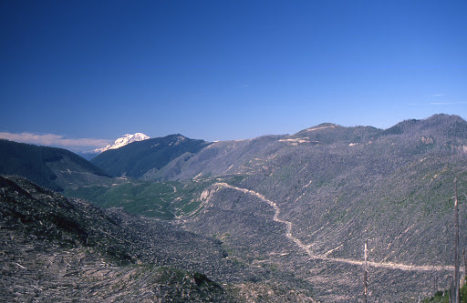 Monument «Mount St. Helens National Volcanic Monument Headquarters», reviews and photos, 42218 NE Yale Bridge Rd, Amboy, WA 98601, USA