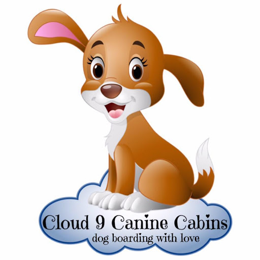 Cloud 9 Canine Cabins