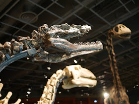 Xiongguanlong baimoensis with a Jintasaurus meniscus and very large Daxiatitan binglingi in the background