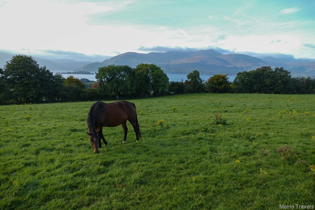 01 Killarney to Bunratty (1 of 1)-2