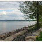 Trees by the lake. 20120515-01-vattern-trees.jpg