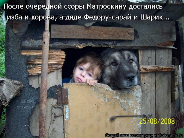 Ни дня без улыбки: последняя в июне... Ни дня без улыбки: последняя в июне...