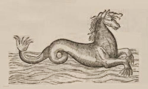 Mediterranean Merhorse