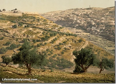 Jerusalem City of David and Mt of Olives, pcm02712