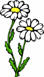 flower_clipart_daisy