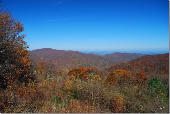 10-23-15 A Skyline Drive Shenandoah NP (55)