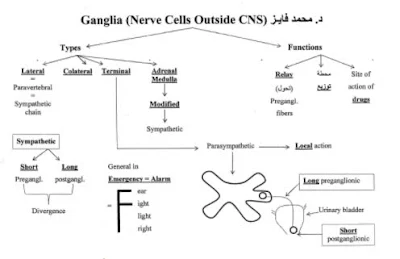 مذكرات فسيولوجي pdf