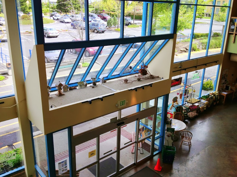 I spotted these bird houses and nests above the front entrance at Marlene's Market & Deli, Federal Way, Washington.